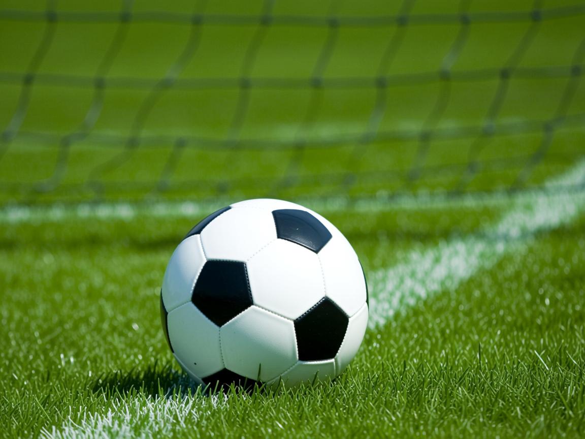 开云体育官网登入-Chinese Taipei出色表现，2024年世界杯赛场表现分析，2024年足球世界杯  第3张