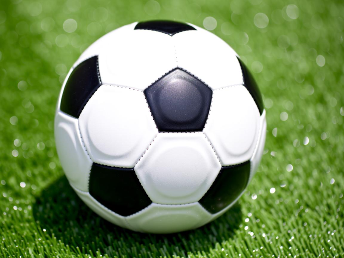 开云官方网-“六人制袋棍球:成都七中东部赛场成为全球关注的焦点” 第2张