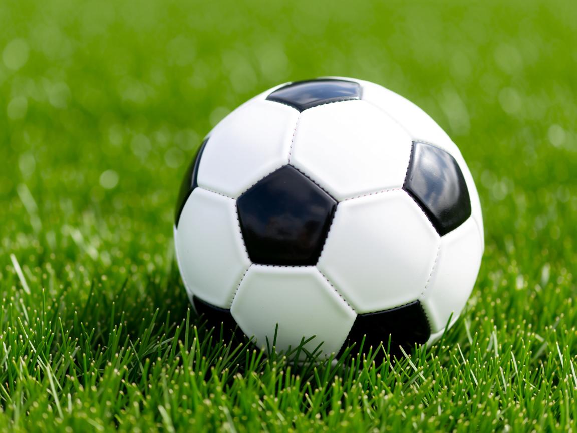 开云体育官网上-中国男篮加强第二阵容比赛适应性,中国男篮cba第二阶段赛程表 第1张